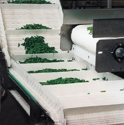 food Conveyor